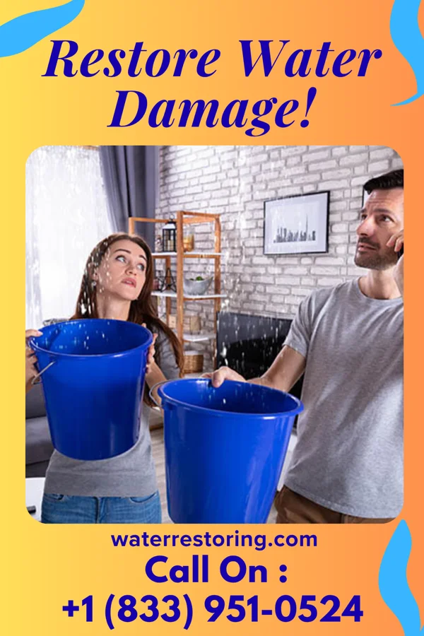 water restoration Modern Sewage Cleanup Company Geraldine