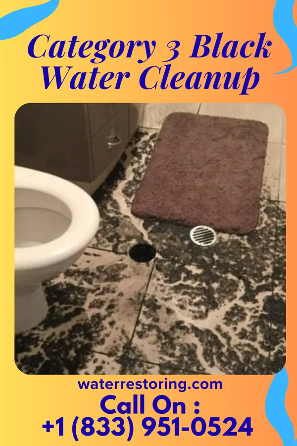 Category 3 Black Water Cleanup in Geraldine, MT