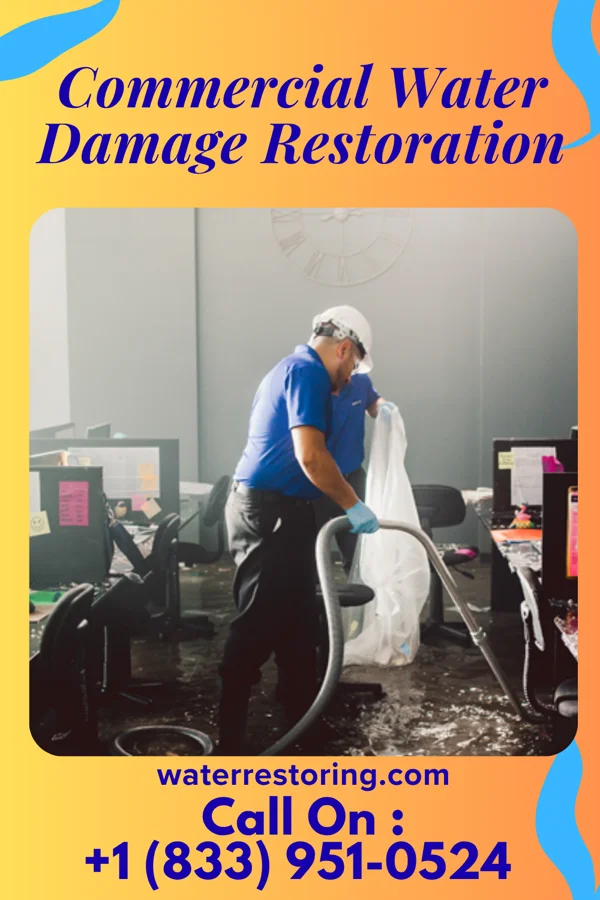 Commercial Water Damage Restoration in Geraldine, MT