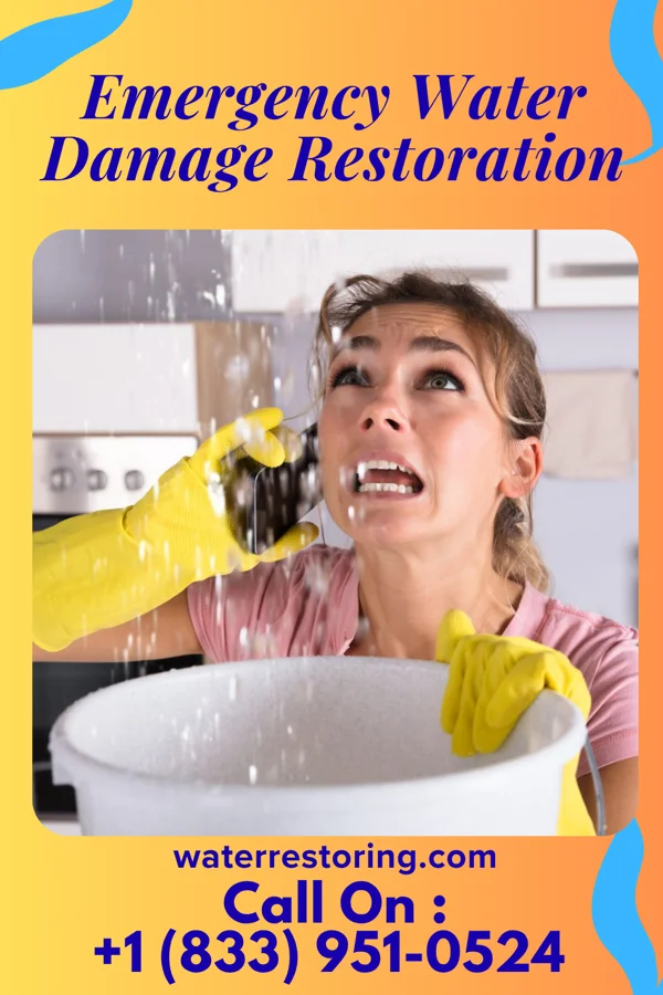 Emergency Water Damage Restoration in Geraldine, MT