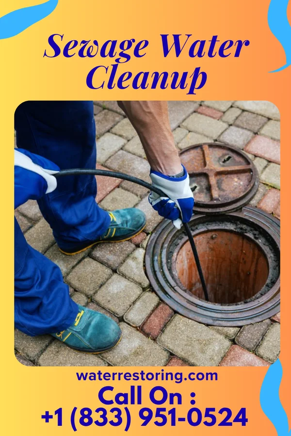 Sewage Water Cleanup in Geraldine, MT